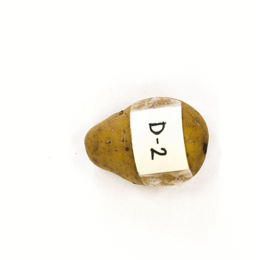D-2 Front View